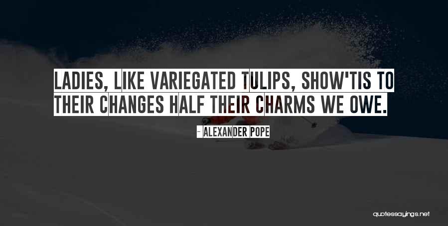 Badescu Ovidiu Quotes By Alexander Pope Badescu Ovidiu Quotes By Alexander Pope