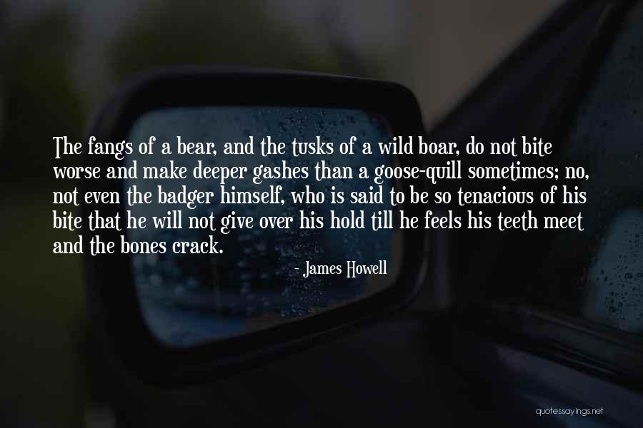 Badger Quotes By James Howell Badger Quotes By James Howell