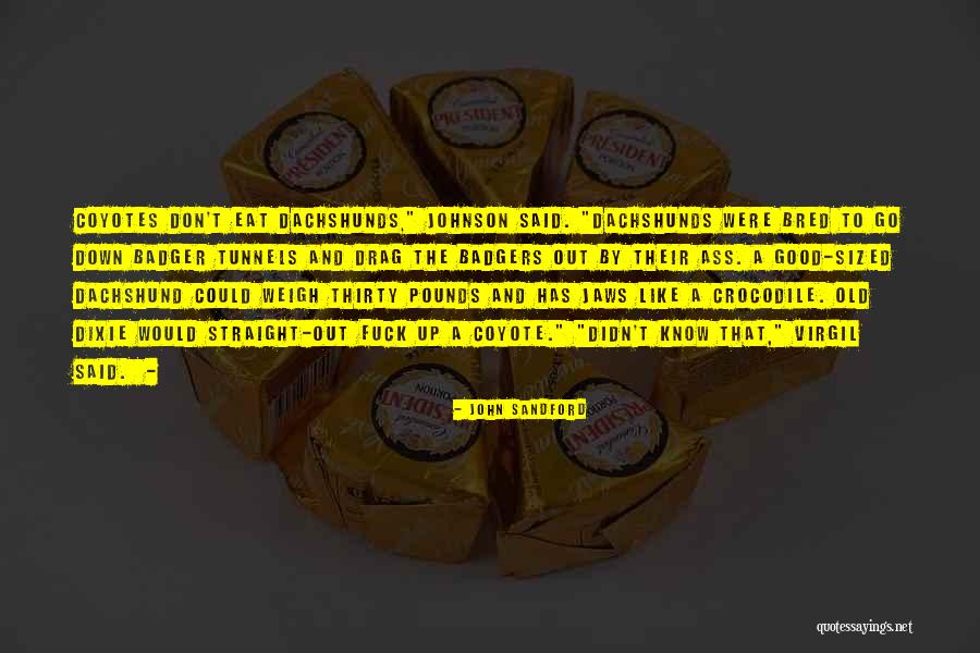 Badger Quotes By John Sandford Badger Quotes By John Sandford
