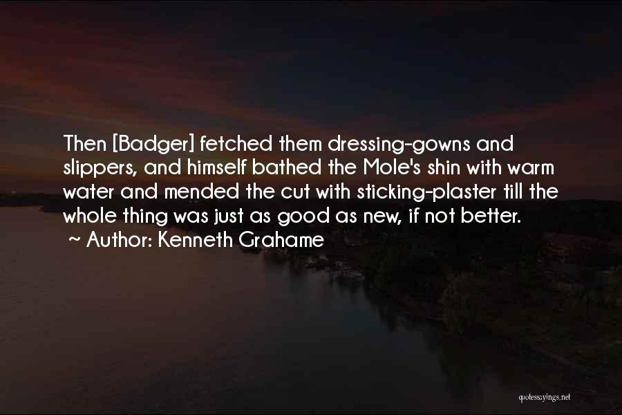 Badger Quotes By Kenneth Grahame