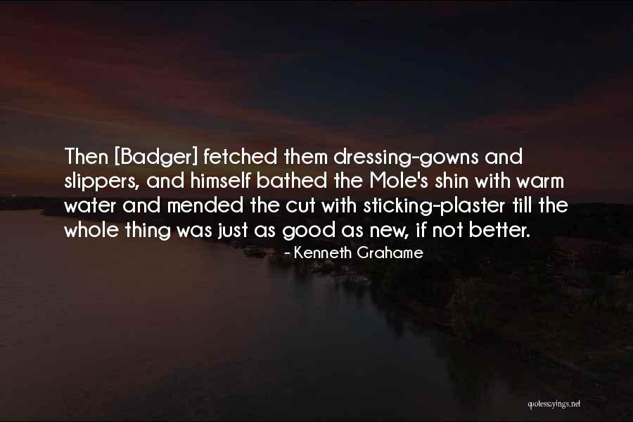 Badger Quotes By Kenneth Grahame