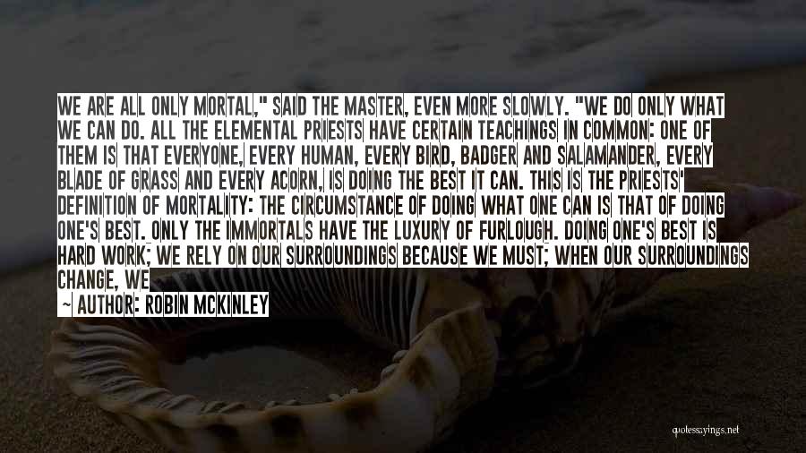 Badger Quotes By Robin McKinley