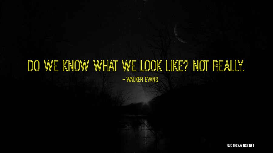 Badiane Chinoise Quotes By Walker Evans Badiane Chinoise Quotes By Walker Evans