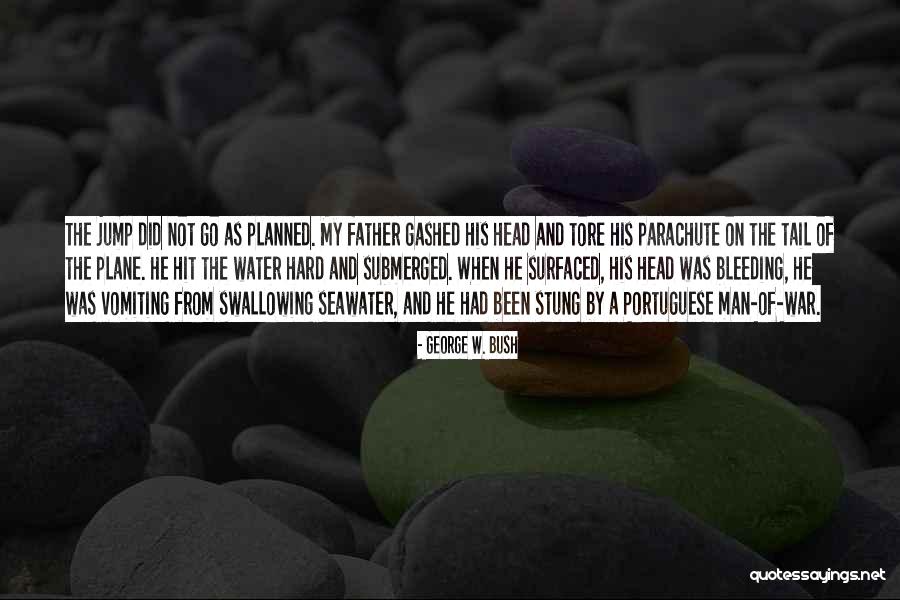 Badinage Quotes By George W. Bush Badinage Quotes By George W. Bush