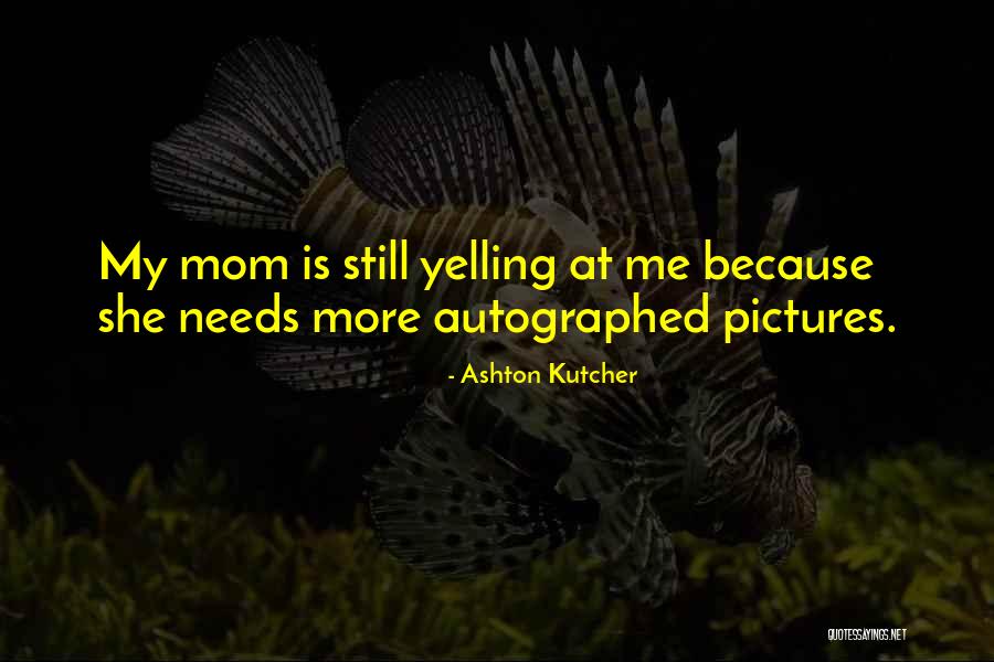 Badinter Elisabeth Quotes By Ashton Kutcher Badinter Elisabeth Quotes By Ashton Kutcher