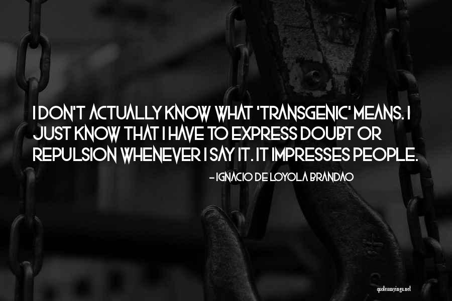 Badiou Lacan Quotes By Ignacio De Loyola Brandao Badiou Lacan Quotes By Ignacio De Loyola Brandao