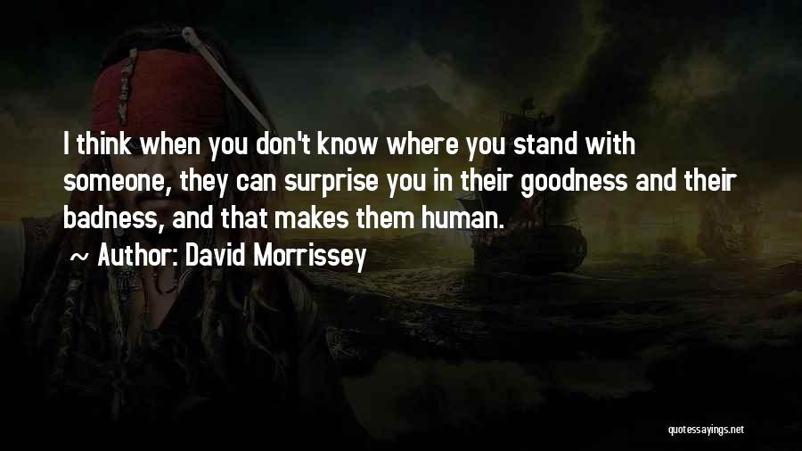 Badness And Goodness Quotes By David Morrissey