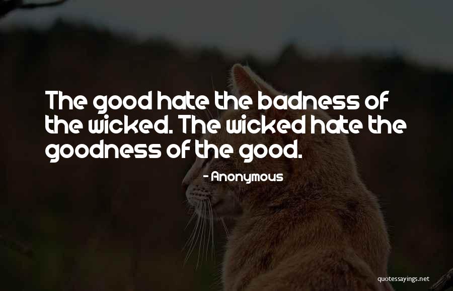 Badness Quotes By Anonymous