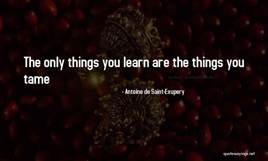 Badoom Ching Quotes By Antoine De Saint-Exupery Badoom Ching Quotes By Antoine De Saint-Exupery