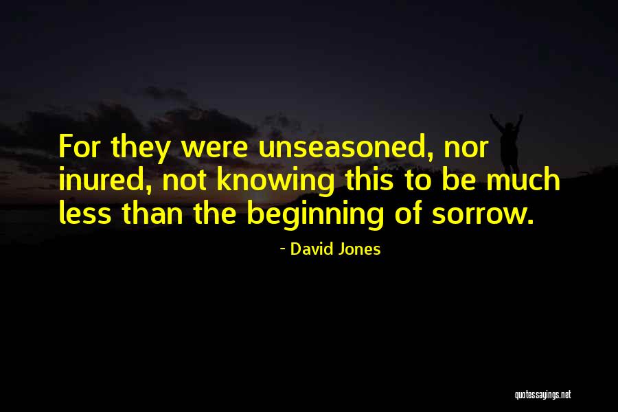Badosa Paula Quotes By David Jones Badosa Paula Quotes By David Jones