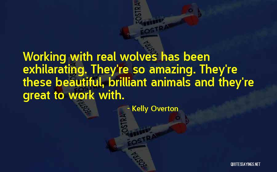 Badreyah Quotes By Kelly Overton Badreyah Quotes By Kelly Overton