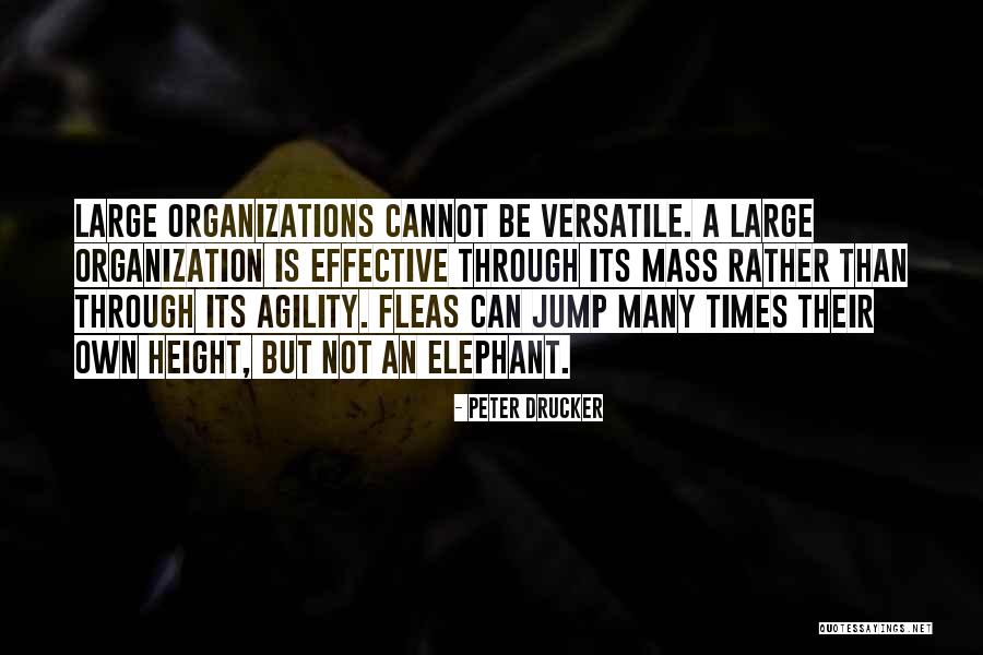 Badura Flower Quotes By Peter Drucker Badura Flower Quotes By Peter Drucker