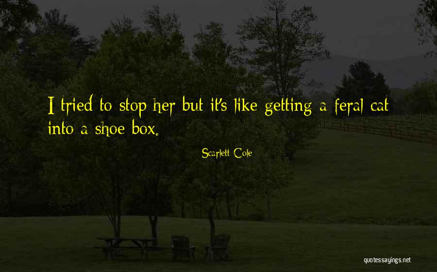 Baelish Music Youtube Quotes By Scarlett Cole Baelish Music Youtube Quotes By Scarlett Cole
