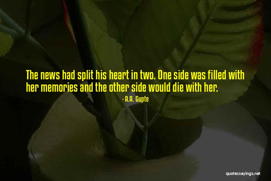 Baez Diamonds Quotes By A.A. Gupte Baez Diamonds Quotes By A.A. Gupte