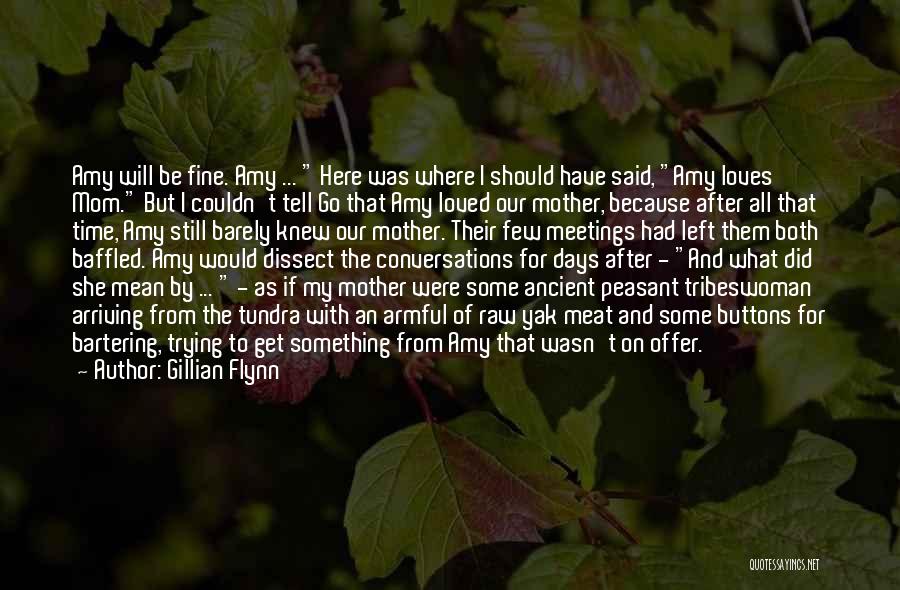 Baffled Quotes By Gillian Flynn