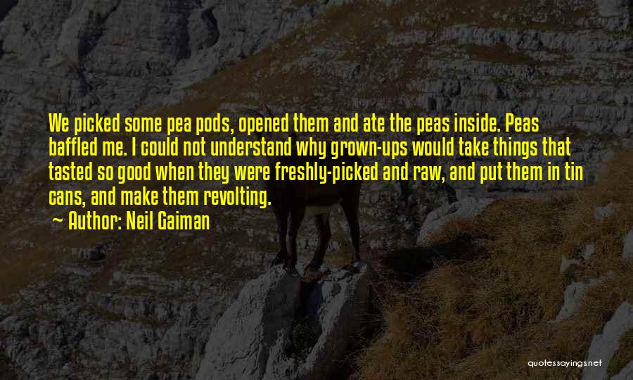 Baffled Quotes By Neil Gaiman