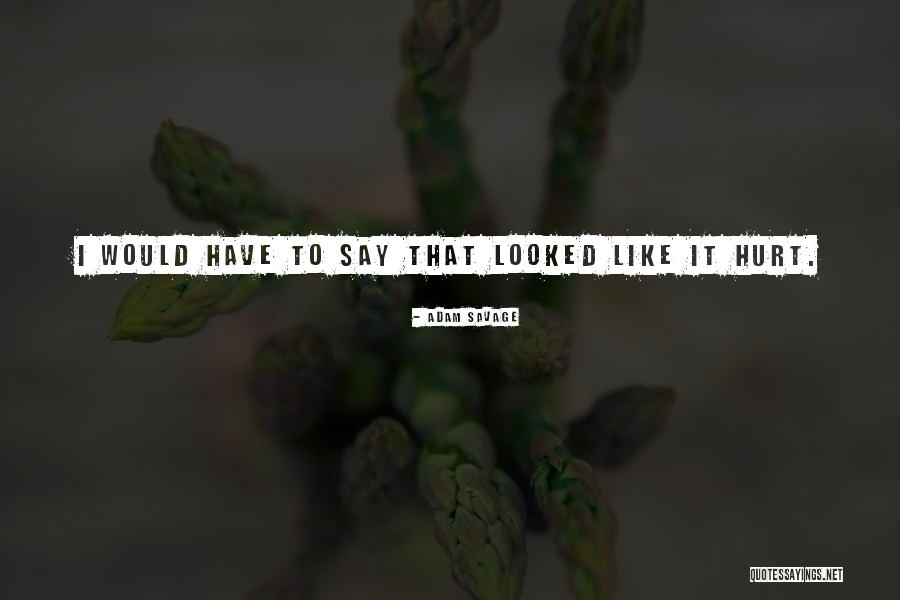 Bafflegabble Quotes By Adam Savage Bafflegabble Quotes By Adam Savage