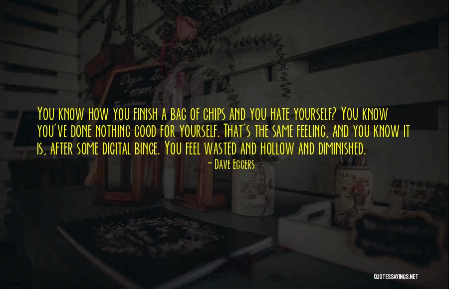 Bag Of Chips Quotes By Dave Eggers