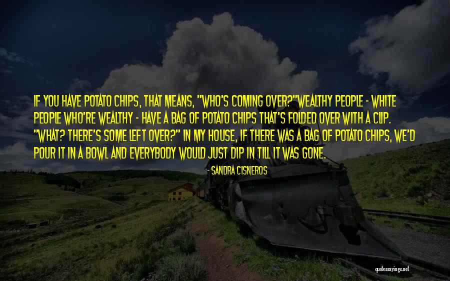 Bag Of Chips Quotes By Sandra Cisneros Bag Of Chips Quotes By Sandra Cisneros
