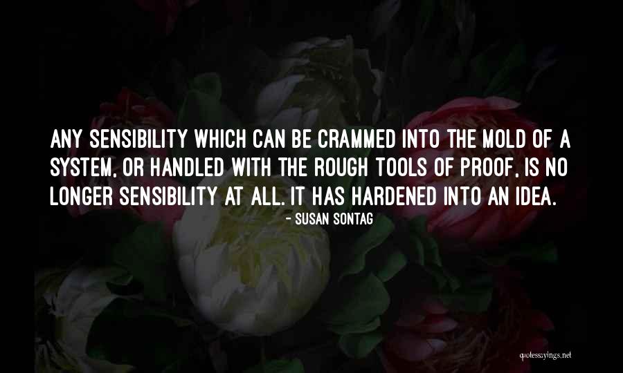 Bagages Royal Air Quotes By Susan Sontag Bagages Royal Air Quotes By Susan Sontag