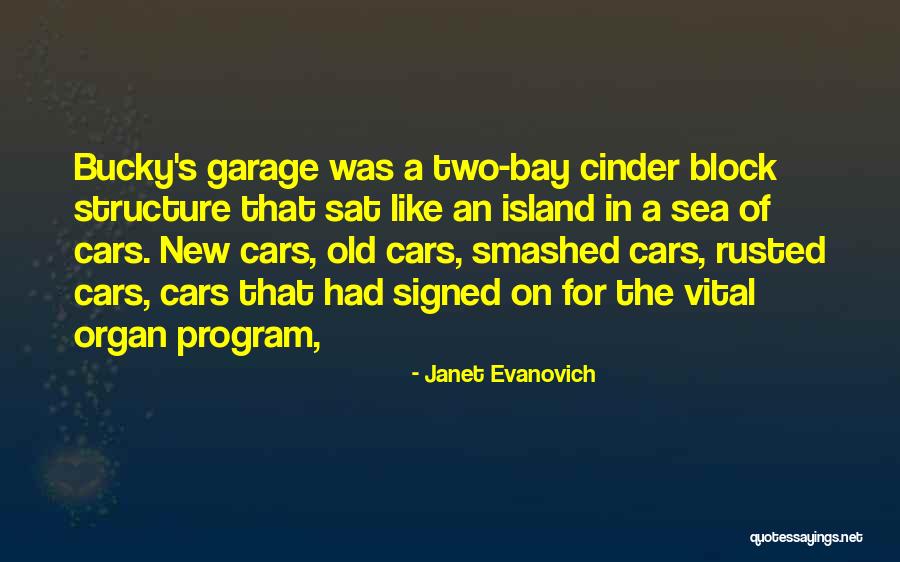Bagdasarova Quotes By Janet Evanovich Bagdasarova Quotes By Janet Evanovich