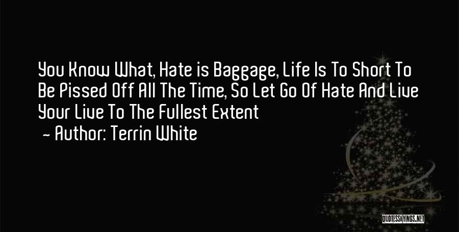 Baggage Life Quotes By Terrin White