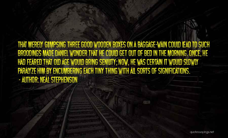Baggage Quotes By Neal Stephenson