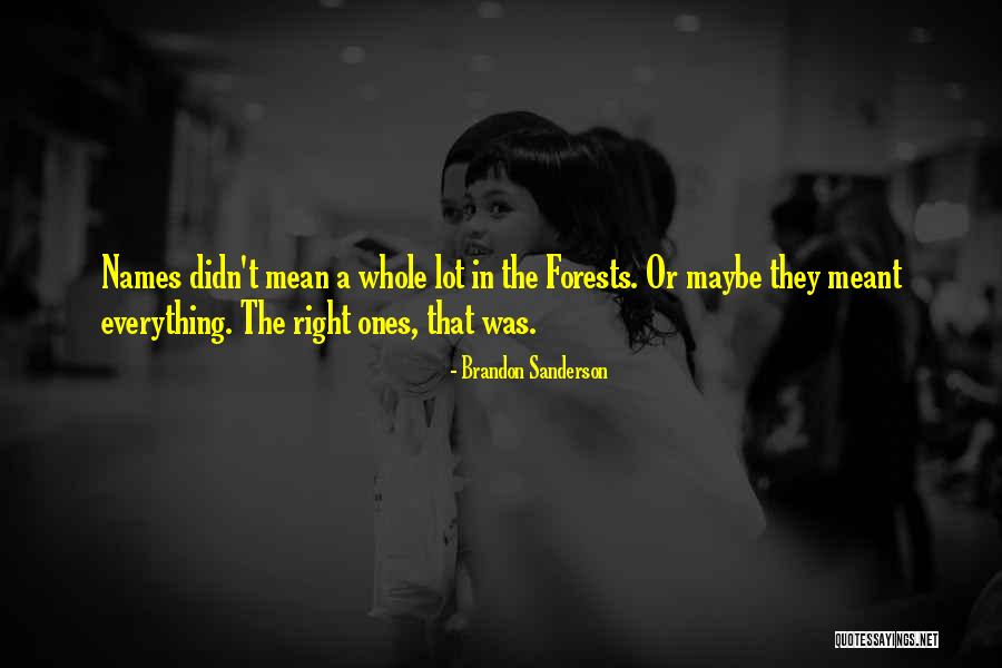 Baggen Murder Quotes By Brandon Sanderson Baggen Murder Quotes By Brandon Sanderson