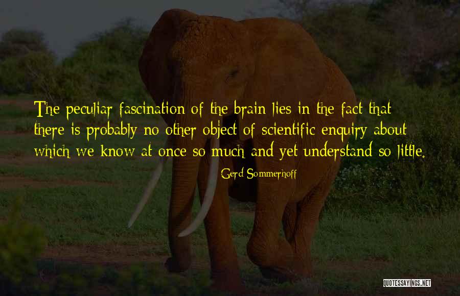 Baggetta Artist Quotes By Gerd Sommerhoff Baggetta Artist Quotes By Gerd Sommerhoff