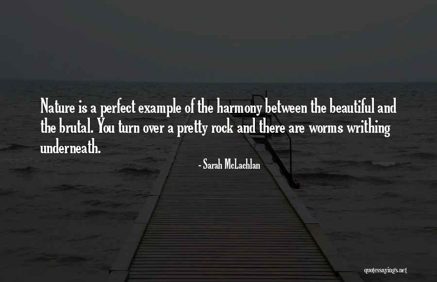 Baggianata Quotes By Sarah McLachlan Baggianata Quotes By Sarah McLachlan