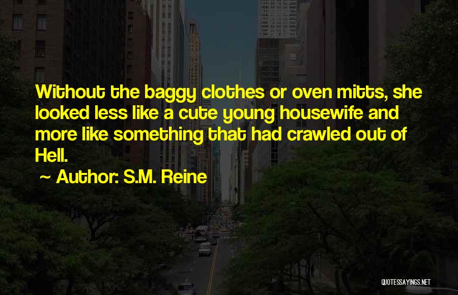 Baggy Clothes Quotes By S.M. Reine