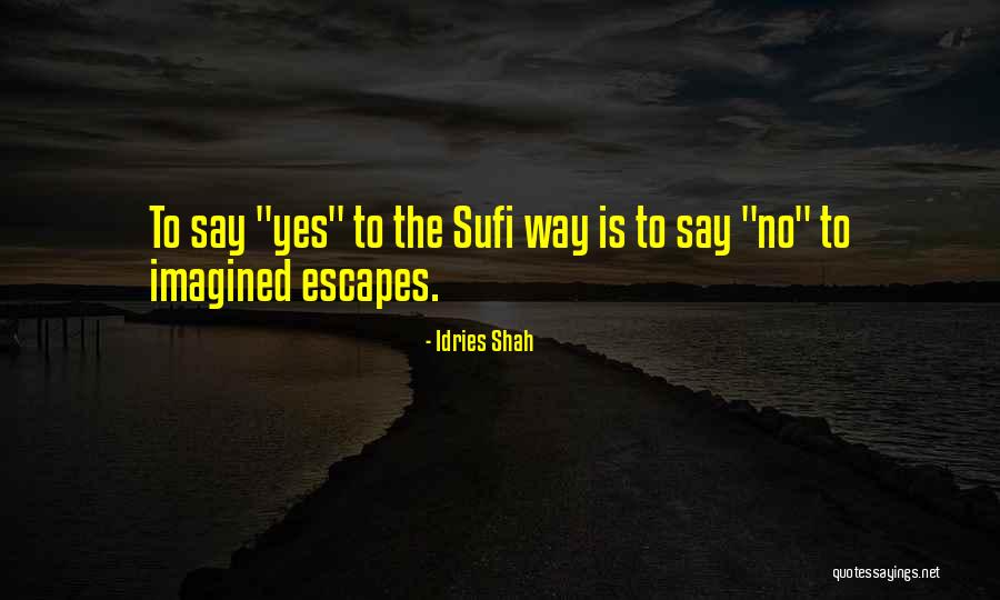 Baginski David Quotes By Idries Shah Baginski David Quotes By Idries Shah