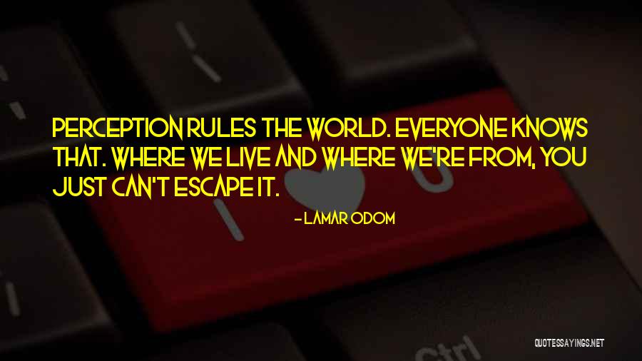 Baglini Backpacks Quotes By Lamar Odom Baglini Backpacks Quotes By Lamar Odom