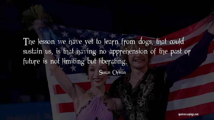 Bags And Purses Quotes By Susan Orlean Bags And Purses Quotes By Susan Orlean