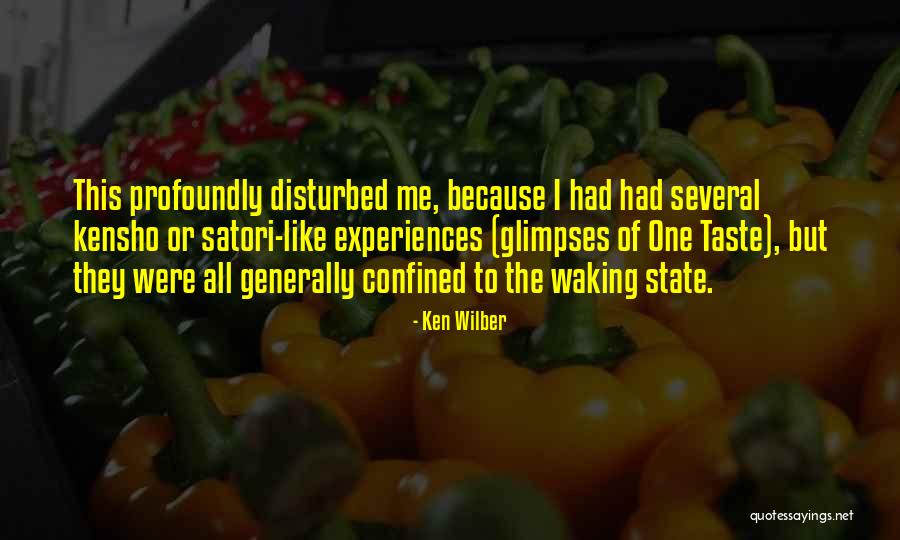 Bags That Are In Style Quotes By Ken Wilber Bags That Are In Style Quotes By Ken Wilber