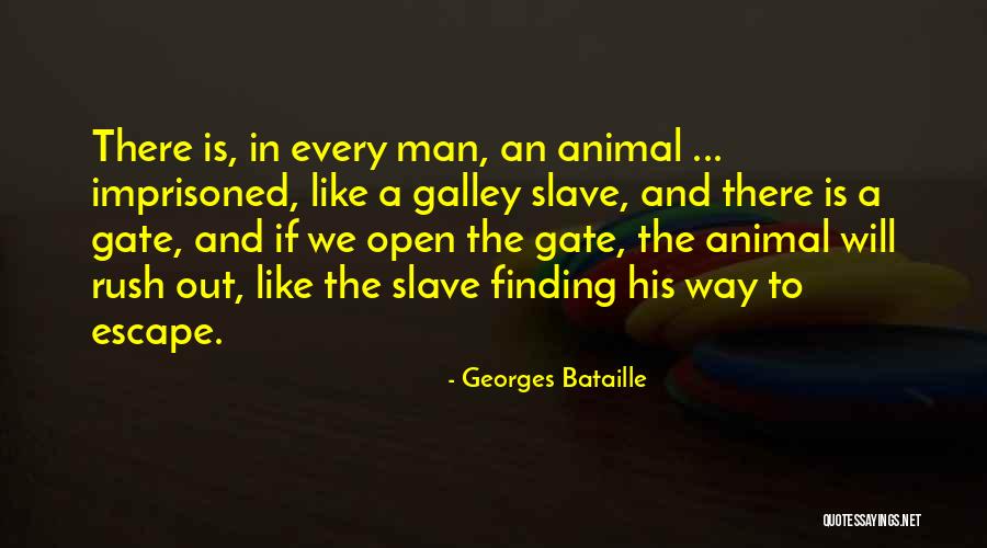 Bags That Keep Quotes By Georges Bataille Bags That Keep Quotes By Georges Bataille