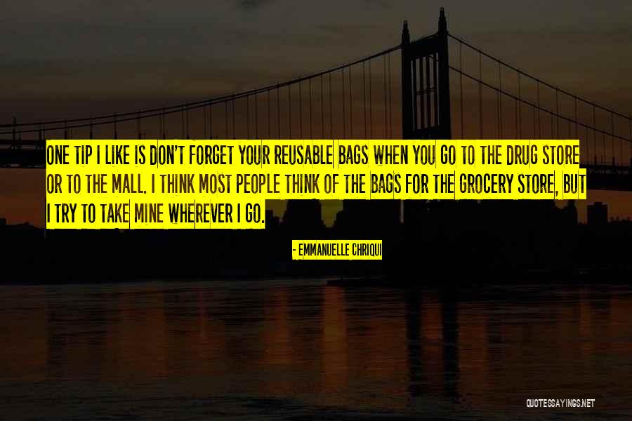Bags That Take Quotes By Emmanuelle Chriqui Bags That Take Quotes By Emmanuelle Chriqui