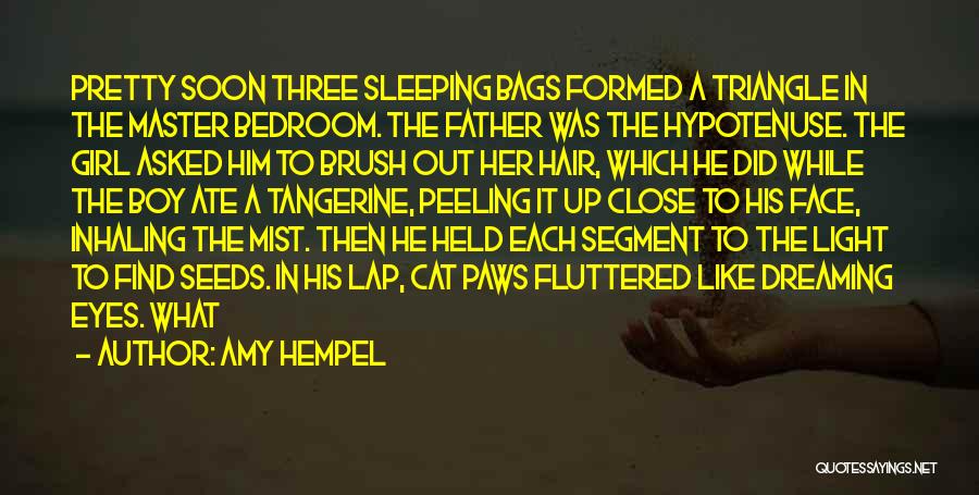 Bags Under Your Eyes Quotes By Amy Hempel