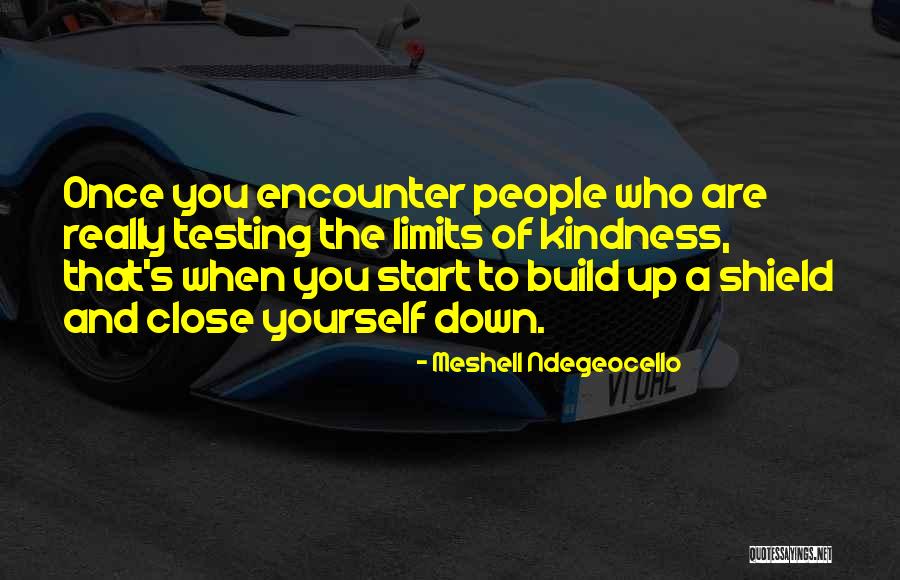 Baguma Henry Quotes By Meshell Ndegeocello Baguma Henry Quotes By Meshell Ndegeocello
