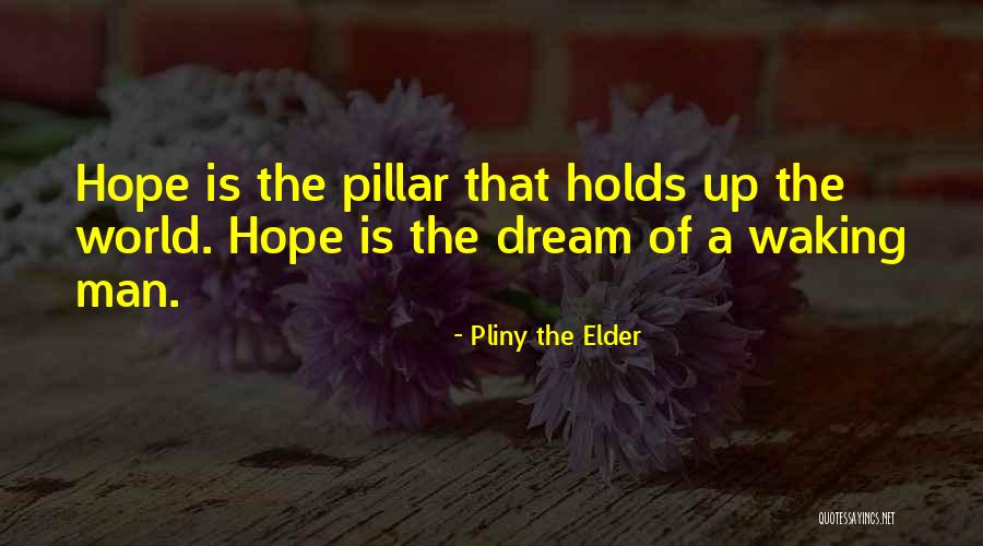 Bahja Rodriguez Quotes By Pliny The Elder Bahja Rodriguez Quotes By Pliny The Elder