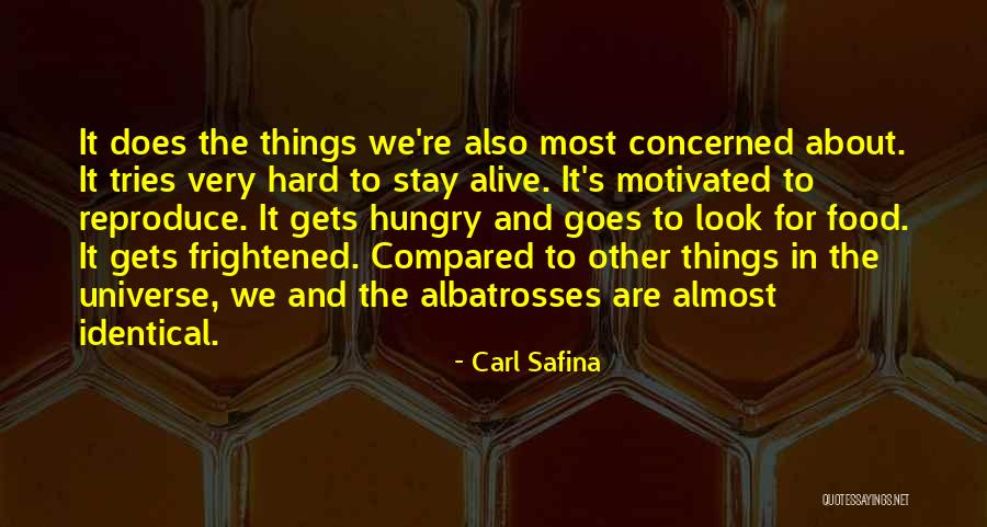 Bahnmiller Berry Quotes By Carl Safina Bahnmiller Berry Quotes By Carl Safina