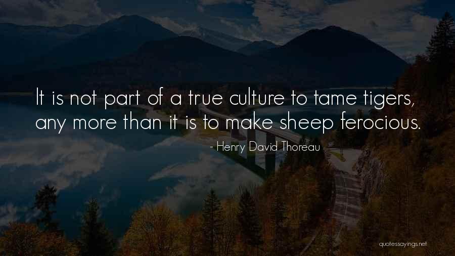 Baiba Bendika Quotes By Henry David Thoreau Baiba Bendika Quotes By Henry David Thoreau