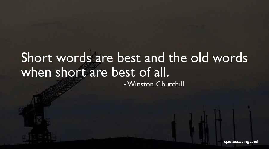 Baig Quotes By Winston Churchill Baig Quotes By Winston Churchill
