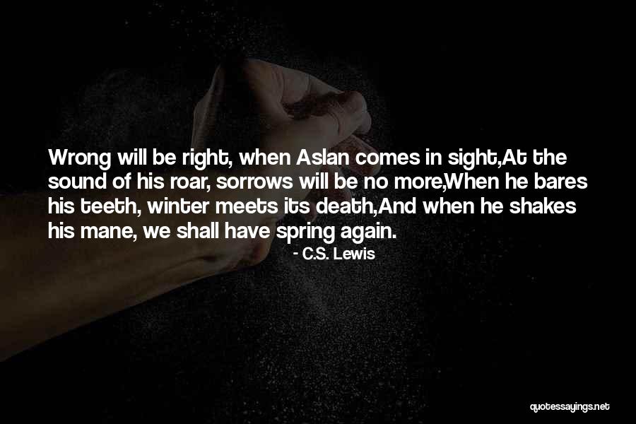 Baigorria Baigorria Quotes By C.S. Lewis