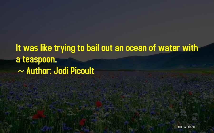 Bail Out Quotes By Jodi Picoult