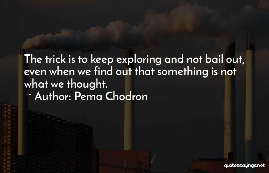 Bail Out Quotes By Pema Chodron