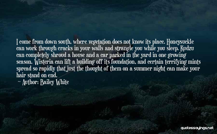 Bailey White Quotes 1038841