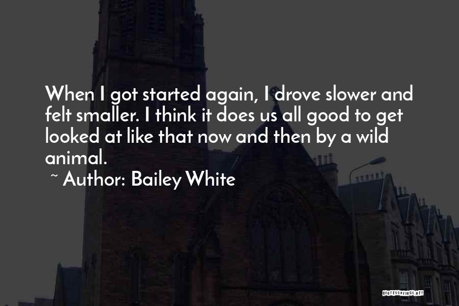 Bailey White Quotes 1419629