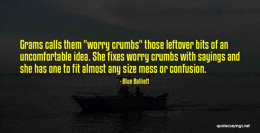 Bailiffs Cottage Quotes By Blue Balliett Bailiffs Cottage Quotes By Blue Balliett