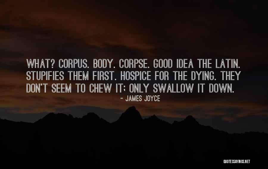 Baillot Libramont Quotes By James Joyce Baillot Libramont Quotes By James Joyce